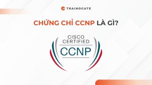 Chứng chỉ CCNP là gì?